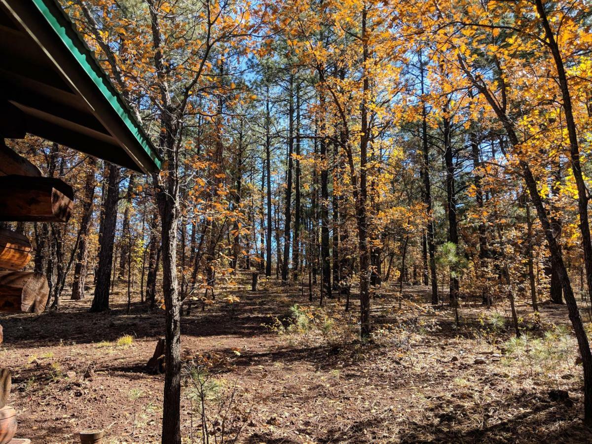 Cozy Cub Log Cabin - Year Round Tranquil Beauty Pinetop-Lakeside Exteriör bild