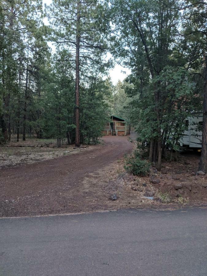 Cozy Cub Log Cabin - Year Round Tranquil Beauty Pinetop-Lakeside Exteriör bild